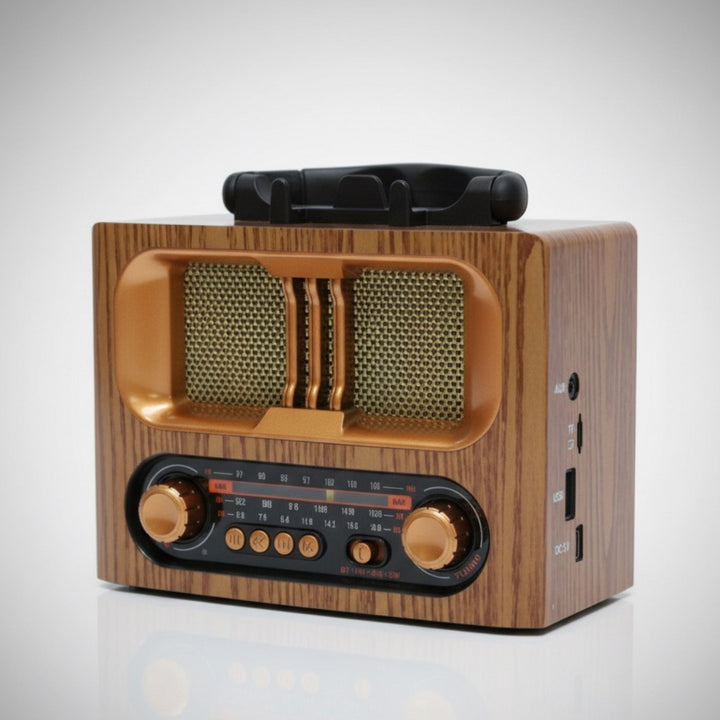 Retro zvučnik koji osvaja na prvi pogled 🎶