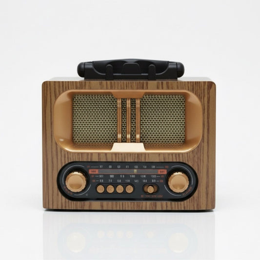 Retro zvučnik koji osvaja na prvi pogled 🎶