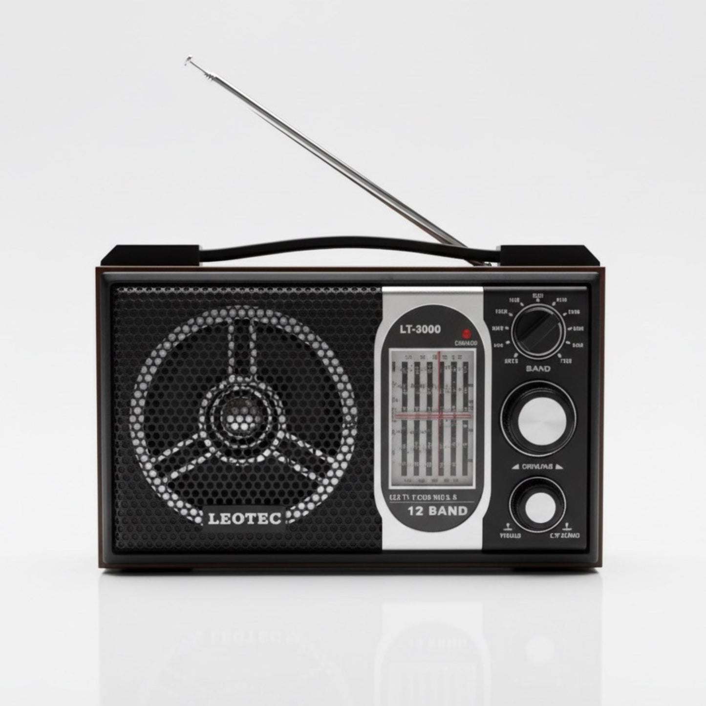 Retro zvučnik koji osvaja na prvi pogled 🎶