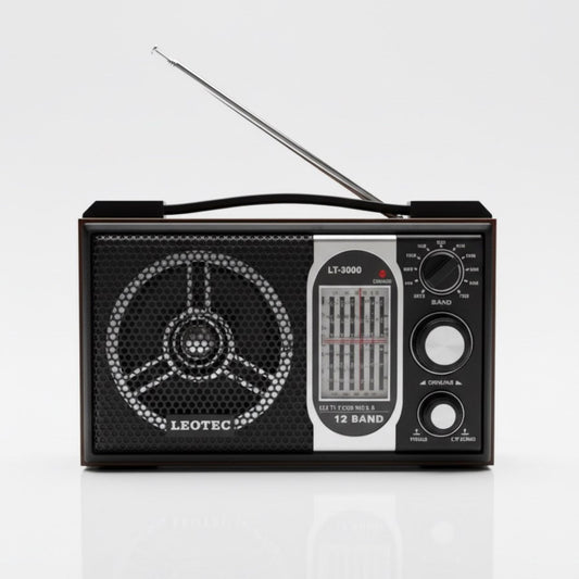 Retro zvučnik koji osvaja na prvi pogled 🎶